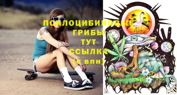 ГАЛЛЮЦИНОГЕННЫЕ ГРИБЫ Абинск