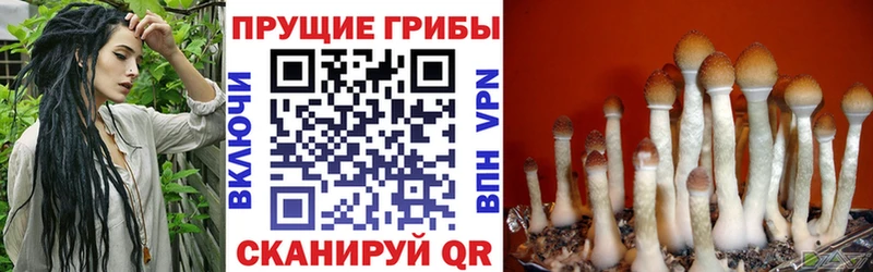 Псилоцибиновые грибы ЛСД  Томилино 